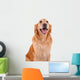 chien golden retriever Wall Decal