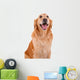 chien golden retriever Wall Decal