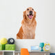 chien golden retriever Wall Decal