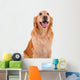 chien golden retriever Wall Decal