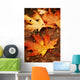 Leaves Wall Decal