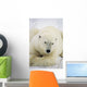Polar Bear Wall Mural