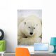 Polar Bear Wall Mural