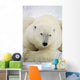 Polar Bear Wall Mural