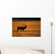 Elk In Yellowstone National Park Wall Mural