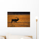 Elk In Yellowstone National Park Wall Mural