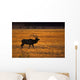 Elk In Yellowstone National Park Wall Mural