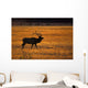 Elk In Yellowstone National Park Wall Mural