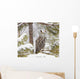 Long Eared Owl Wall Mural