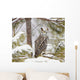 Long Eared Owl Wall Mural