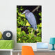 Little Blue Heron Wall Mural