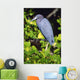 Little Blue Heron Wall Mural