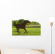Horse Galloping Wall Mural