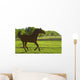 Horse Galloping Wall Mural