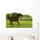 Horse Galloping Wall Mural