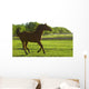 Horse Galloping Wall Mural