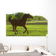 Horse Galloping Wall Mural