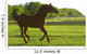 Horse Galloping Wall Mural