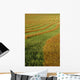 Rows Of Canola Windrows Wall Mural