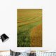 Rows Of Canola Windrows Wall Mural