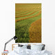 Rows Of Canola Windrows Wall Mural