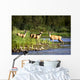 Deer Wall Mural
