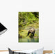Grizzly Bear On Shore Wall Mural