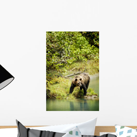 Grizzly Bear On Shore Wall Mural