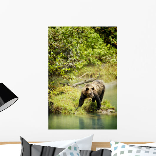 Grizzly Bear On Shore Wall Mural
