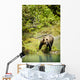 Grizzly Bear On Shore Wall Mural