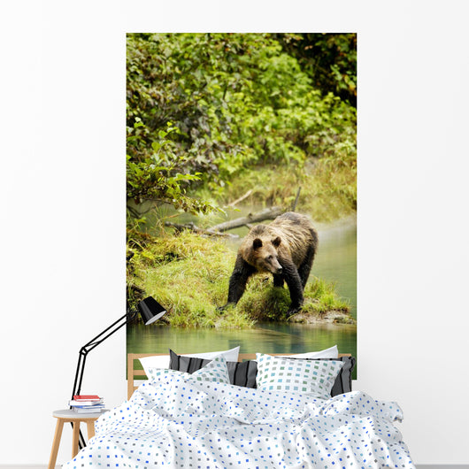 Grizzly Bear On Shore Wall Mural