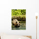 Grizzly Bear Wall Mural