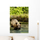 Grizzly Bear Wall Mural