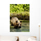 Grizzly Bear Wall Mural