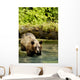 Grizzly Bear Wall Mural