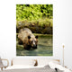 Grizzly Bear Wall Mural