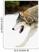 Wolf On The Prowl Wall Mural