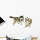 Aggressive Wolves Wall Mural