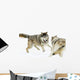 Aggressive Wolves Wall Mural