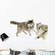 Aggressive Wolves Wall Mural