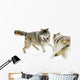 Aggressive Wolves Wall Mural