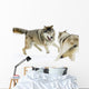 Aggressive Wolves Wall Mural