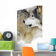 Wolf Wall Mural