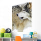Wolf Wall Mural