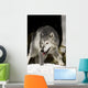 Wolf Wall Mural