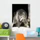 Wolf Wall Mural