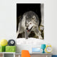 Wolf Wall Mural