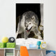 Wolf Wall Mural