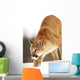 Cougar Hunting Wall Mural