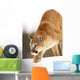 Cougar Hunting Wall Mural